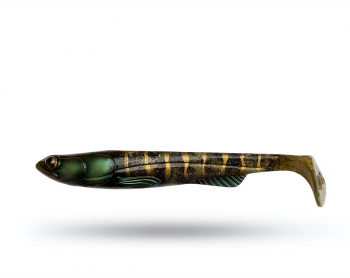 TG Swim Shad 24 cm